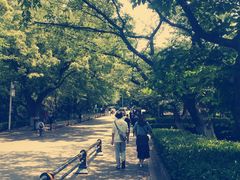 -武汉大学-樱园