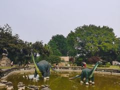 -自贡恐龙博物馆