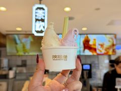 -陕拾叁-西安糕点(北院门创始店)