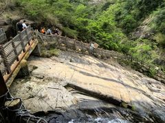 -广州白江湖森林公园