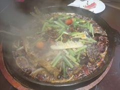 -老板恋上鱼(高新万达店)