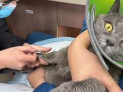 -爱派特动物医院·全科诊疗中心