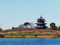 -上海海湾国家森林公园