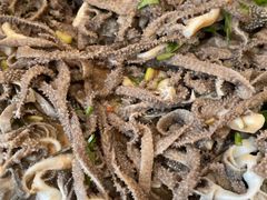 -庄河步云山羊汤(椒房店)