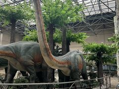 -国家自然博物馆