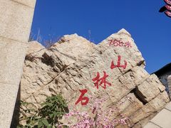 -京东石林峡风景区