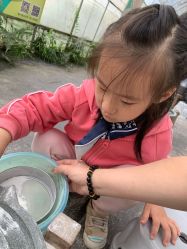 -前小桔亲子创意农场·草莓采摘·露营烧烤