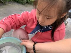 -前小桔亲子创意农场·草莓采摘·露营烧烤