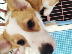 -白夜2D咖啡馆