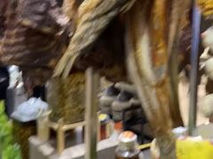 -湘君私厨.16年湘菜店(金匙望湖店)