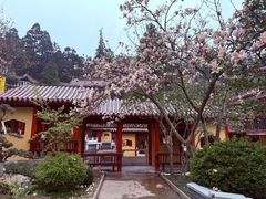 -东天目山风景区