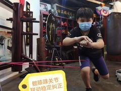 -温鉴良实用咏春拳