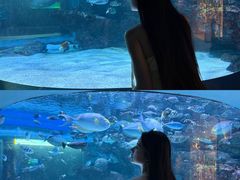 -海合安成都极地海洋公园
