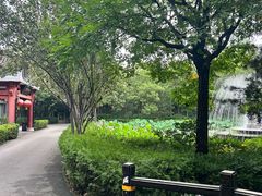 -潇湘甲鱼村(清河店)