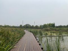 -永定河休闲森林公园