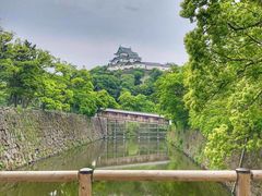 -黑潮市场