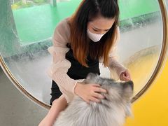 -Husky Go! 哈士奇体验馆·宠物咖啡厅狗咖