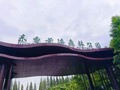 -黄海国家森林公园