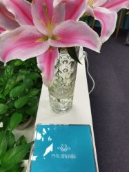 -斐尔国际皮肤管理中心