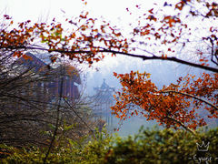 -岳麓山风景名胜区