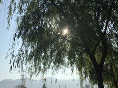 -光明港公园