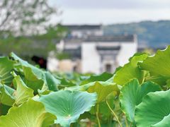 -呈坎景区