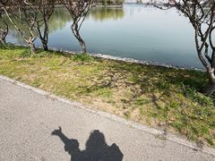 -石湖景区