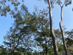 -广州市白云山风景名胜区