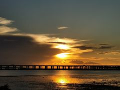 -宝安西湾红树林湿地公园