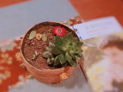 -拂晓山房·私房川菜(西门店)