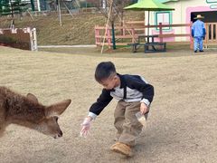-盈香心动乐园