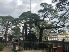 -成田山新胜寺