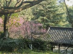 -杭州半山国家森林公园