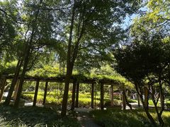 -徐家汇源景区-衡山公园