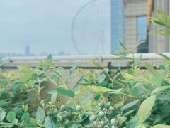 -南昌之星游乐场