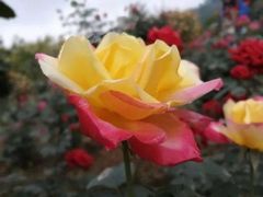 -白沙门生态公园