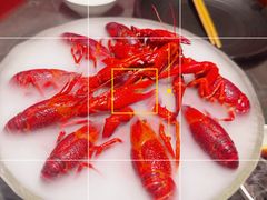 -红盔甲·小龙虾(人民广场店)