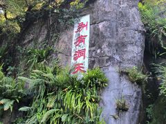 -深圳仙湖植物园