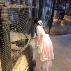 -酷嗒动物文化乐园(cutezoo西溪乐天城店)