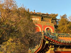 -颐和园