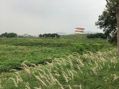 -光明小镇欢乐田园