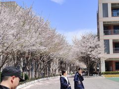 -金陵中学(河西分校)