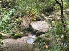 -吃香喝辣·地道衡东菜(南岳大庙店)