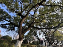 -天台山琼台仙谷景区