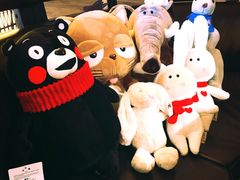 -PAWTOY爪e玩偶店(天兴罗斯福店)