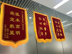 -中农国际动物医院24小时·猫科·骨科·急重症中心