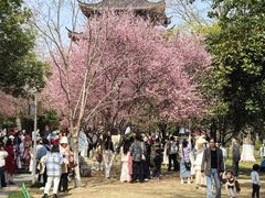 -堤角公园