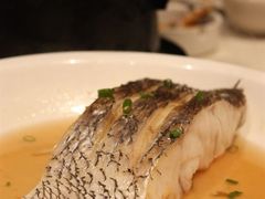 清蒸米鱼-宁波汉通海鲜大酒店(江湾店)
