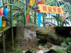 -成都欢乐谷