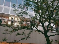 -茑屋书店(天目里店)